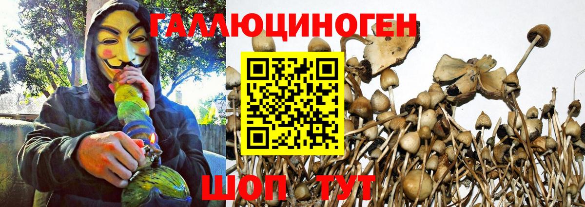 Галлюциногенные грибы прущие грибы  Вход с VPN  наркотики  Старая Купавна 